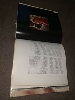 A Small Portion Size Of This wonder book Marilyn Monroe