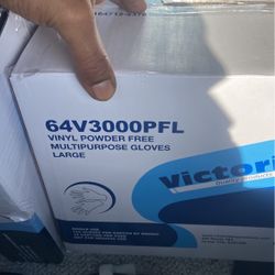Vinyl Gloves 