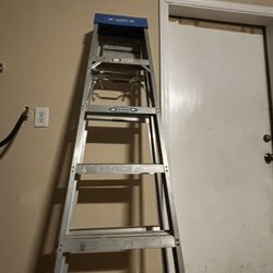 Werner Ladder 