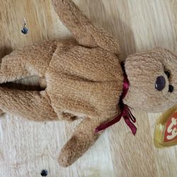 TY BEANIE BABIES VERY RARE & Retired CURLY BEAR with ERRORS, COLLECTIBLE
