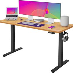 Dual Motors Standing Desk 55 x 24 Inches, Adjustable Height