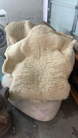 Lam skin rugs
