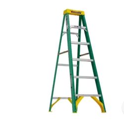 6ft Ladder