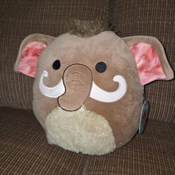 Squishmellow -Chienda 