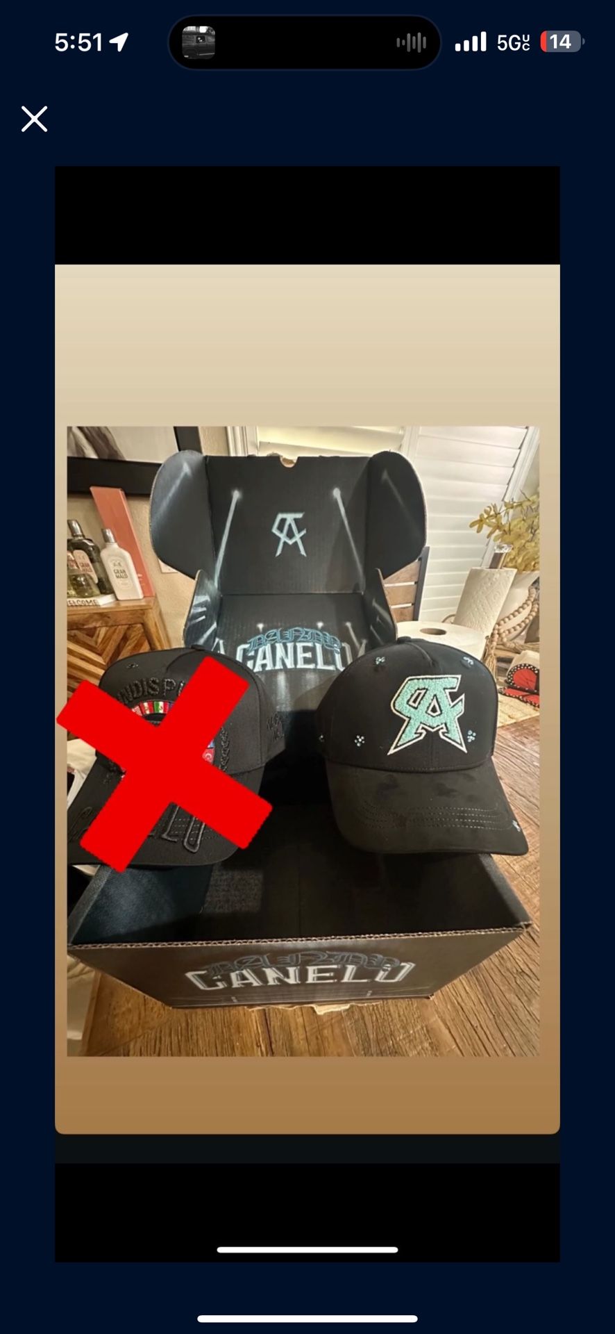 DANDY X CANELO