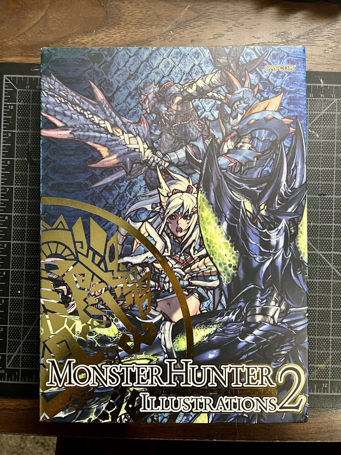 Monster Hunter Illustration 2 (Read Desc)