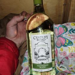 Three 1.5 Liter Bottles Of Century Road Sauvignon Blanc 