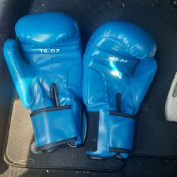 Boxing Gloves