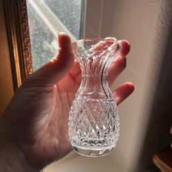 Waterford Crystal Vase For Plants 