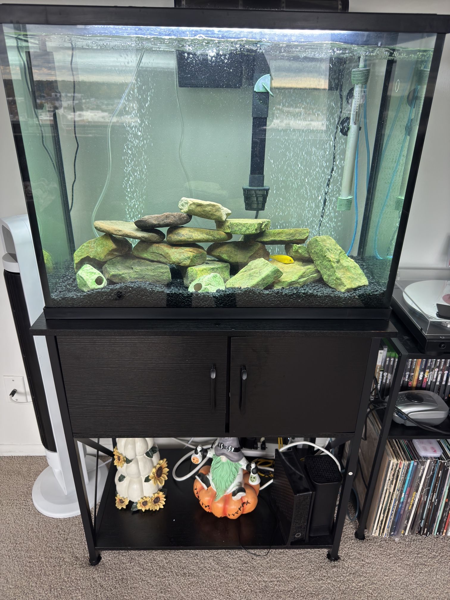 37 Gallon Aquarium