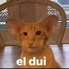 Charlie