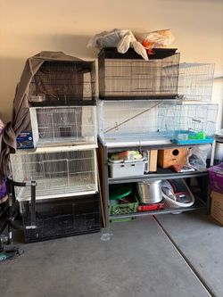Cage (S.Phx)
