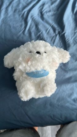 Cute puppy plush it brand new