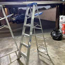 6’ Werner Step Ladder 