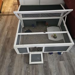 Turtle/Tortoise House 