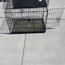Dog Cage 