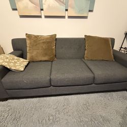 Gray Couch 