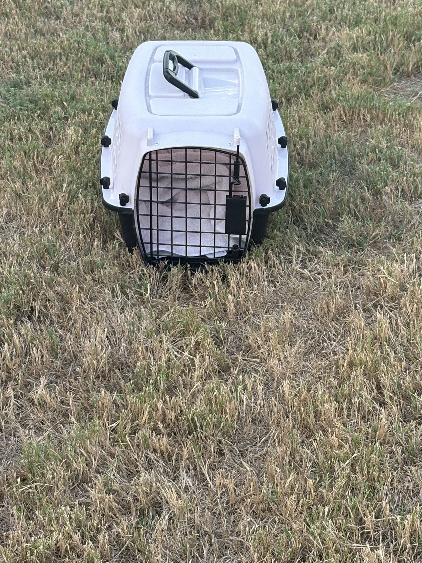 Small dog kennel