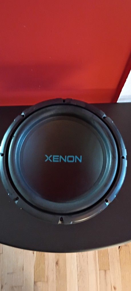 12" Subwoofer (BUDGET)