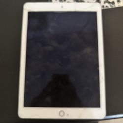 iPad Mini 2