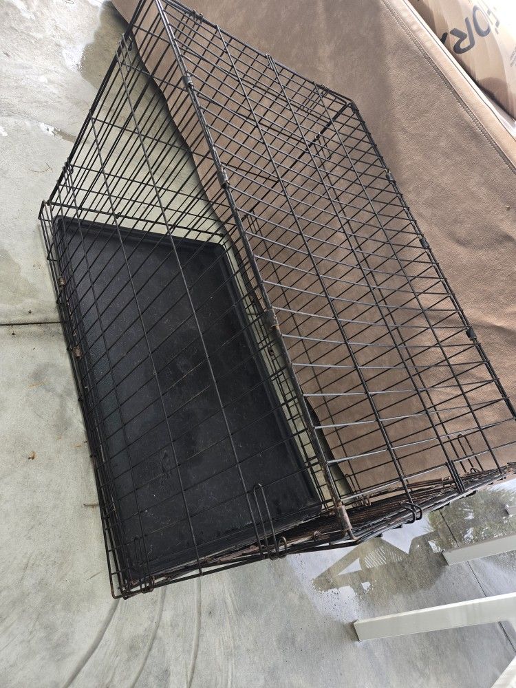 Dog Cage 36"
