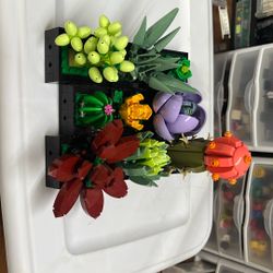 Lego Succulents Plant and Flowers Set (10309)