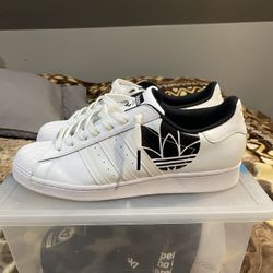 Size 13 Adidas Superstar Shell Toe 