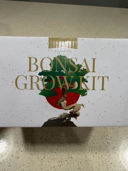 Bonsai Tree starter Kit - Brand new!