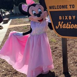 Minnie Mouse Modeled Pink Corset Princess Dress, Gloves Halloween Costume