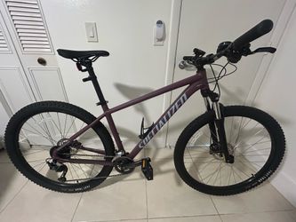 Specialized new bike 29