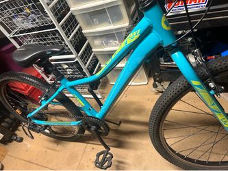 Giant Liv 24 kids mountain bike