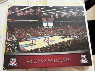 University of Arizona U of A canvas wall art
