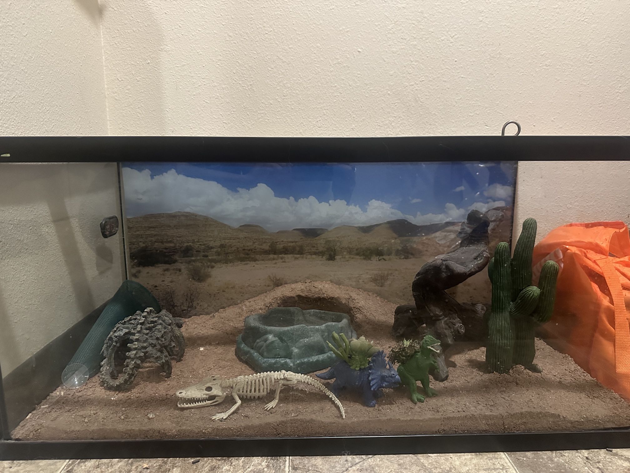 Reptile Vivarium