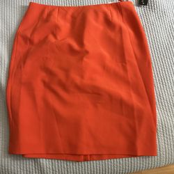 Brand New Sz16 Skirt 