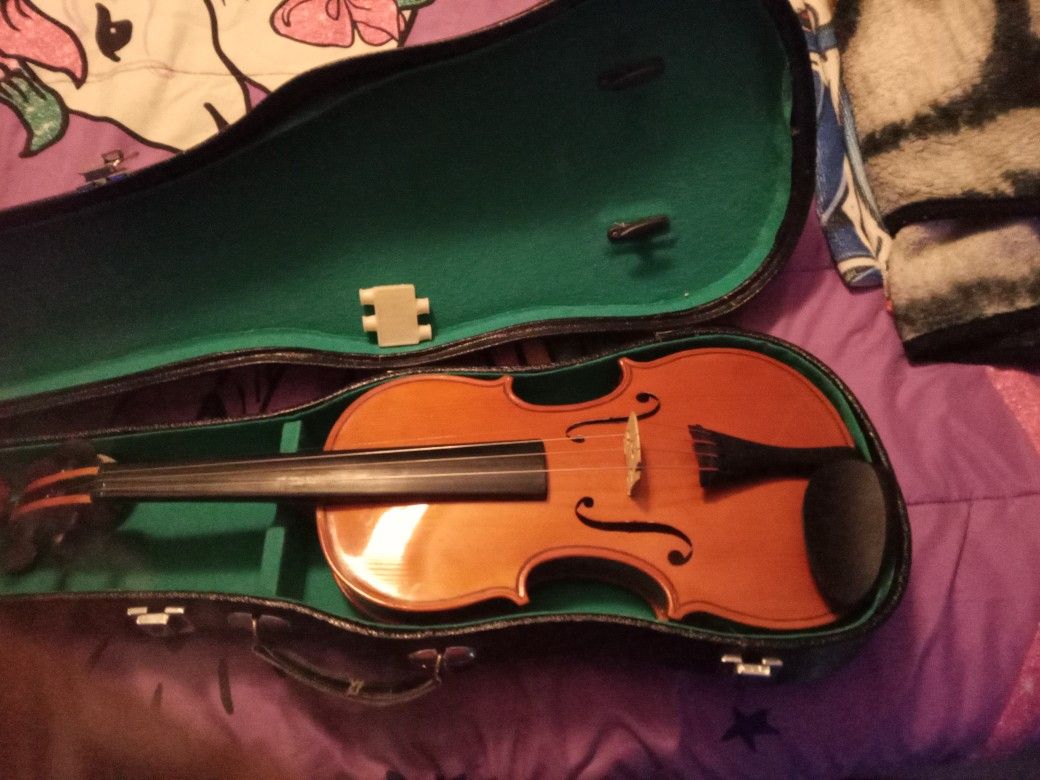 Violin And Case