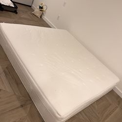 King size Mattress for Free