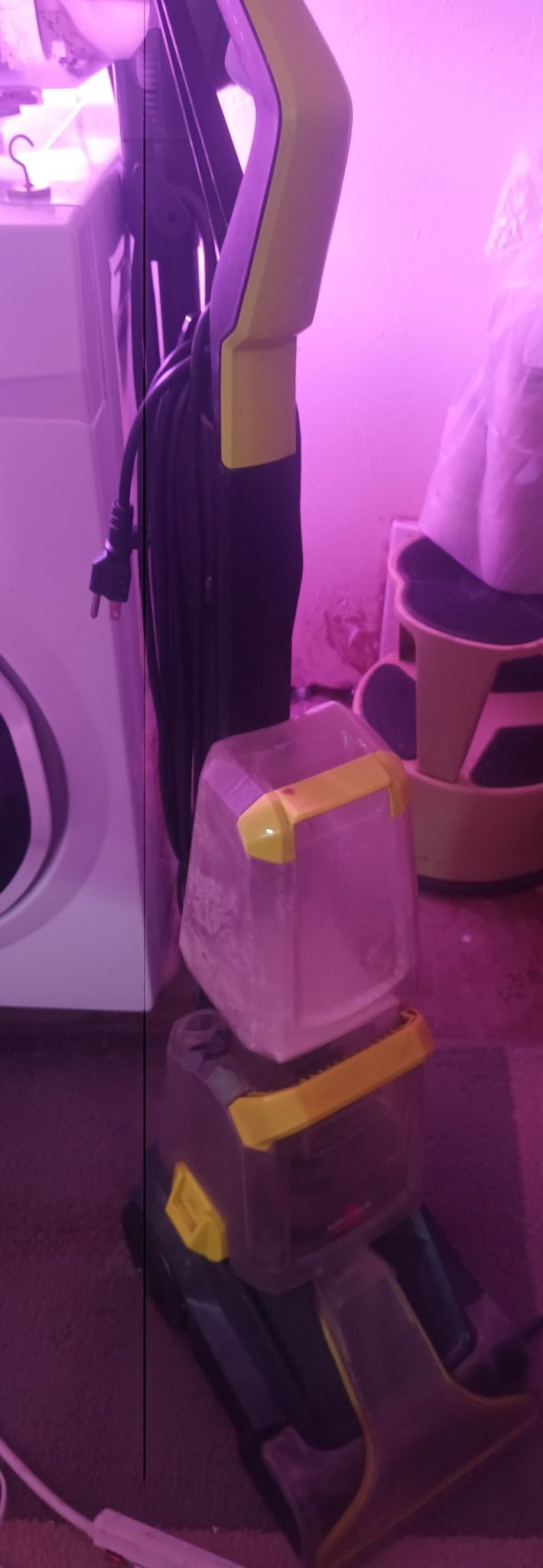 Carpet Cleaner Bissell