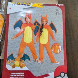 Charizard Costume