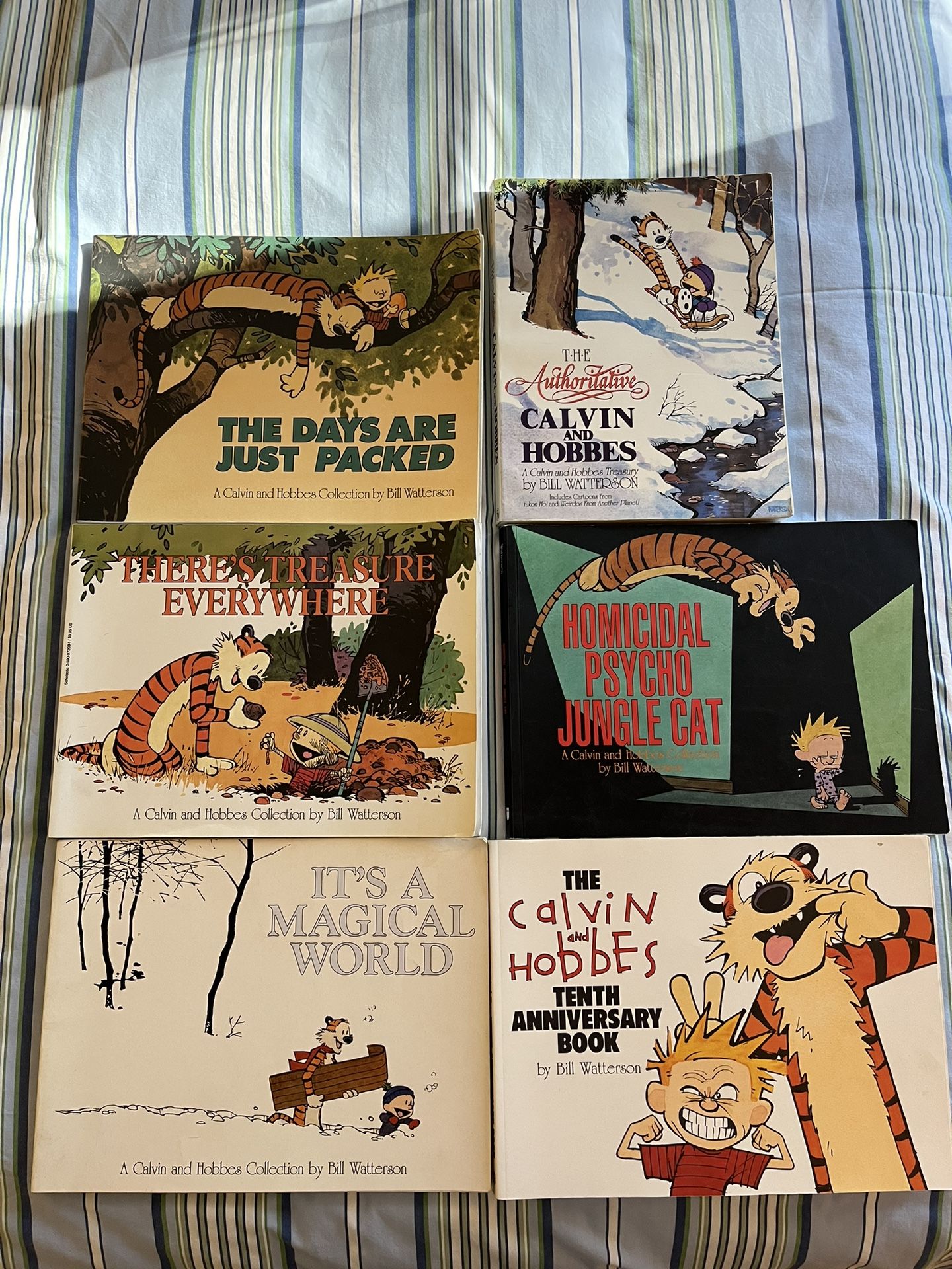 Calvin And Hobbes 6 Comic Book Lot