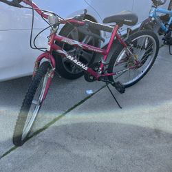 Magna 15 Speed Girls Bike 24 In