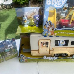 Bluey mini lot