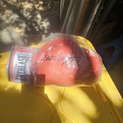 Signed Roberto Duran EVERLAST BOXING GLOVE