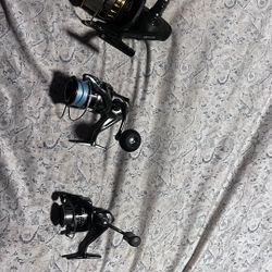 Diawa Spinning Reel Bg8000