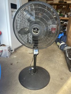 Adjustable Standing Fan