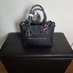 Steve Madden Bag