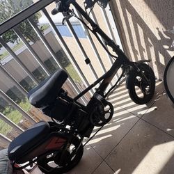 Zhengbu Electric Bike