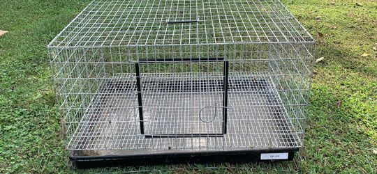 Rabbit pen