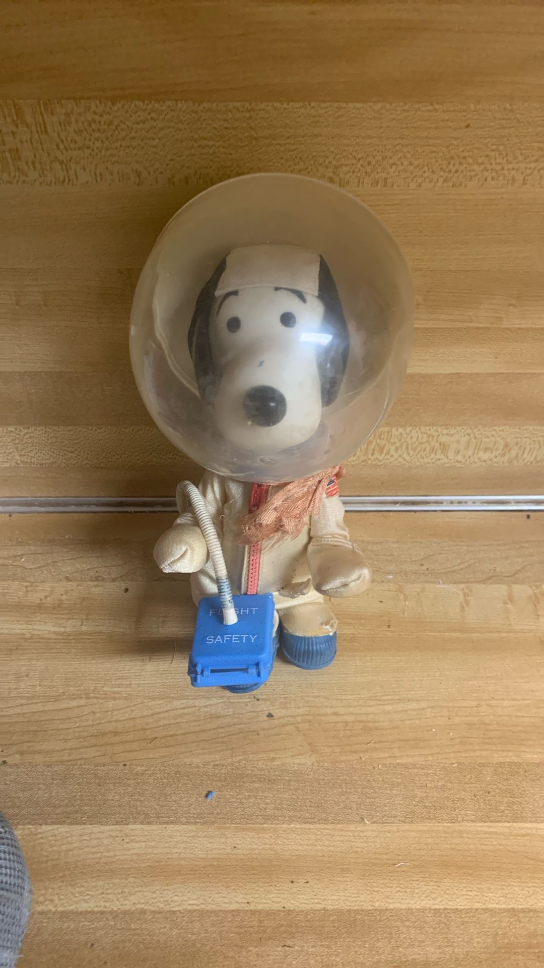 Space Snoopy 
