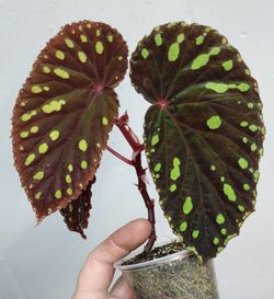 ‘03 F0rd Expediti0n