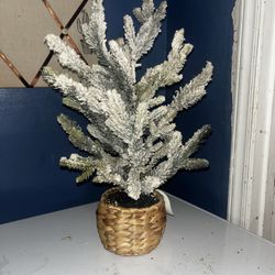 Faux Plant In Basket, White Frosted Branches